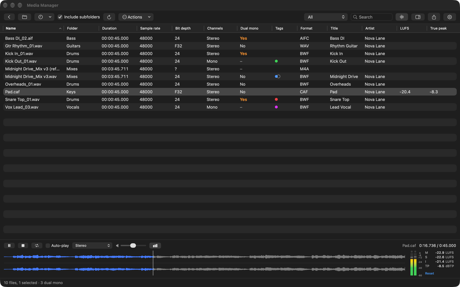 Media Manager window with a session folder, dual-mono and loudness columns, waveform and live meters
